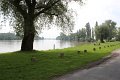 (10) 2010 Parc floral Apremont sur Allier